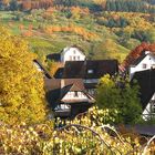 goldener Oktober in Sasbachwalden