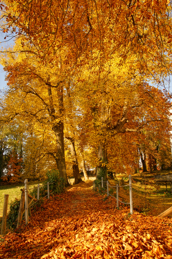 Goldener Oktober IV