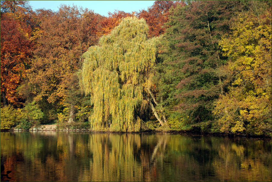 Goldener Oktober # Octubre dorado