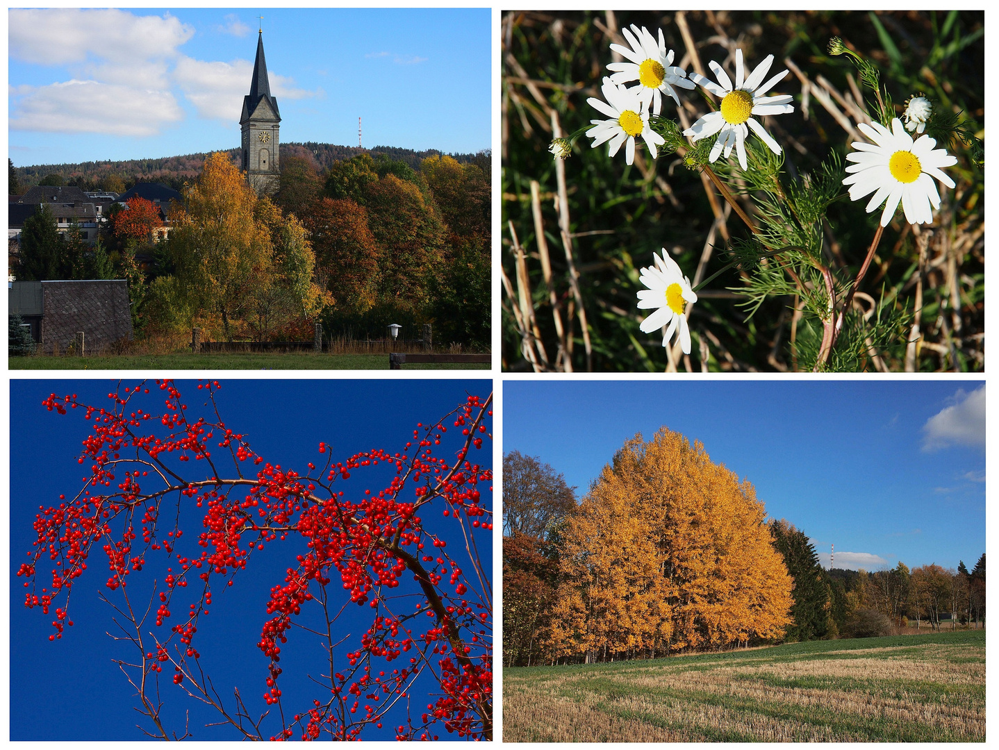 Goldener Oktober um Zell