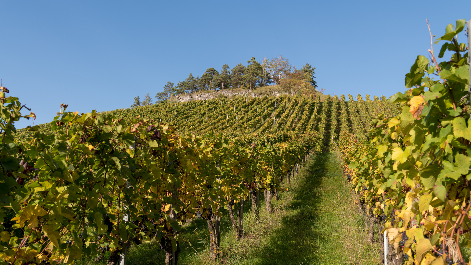 Goldener Oktober und seine Farben 