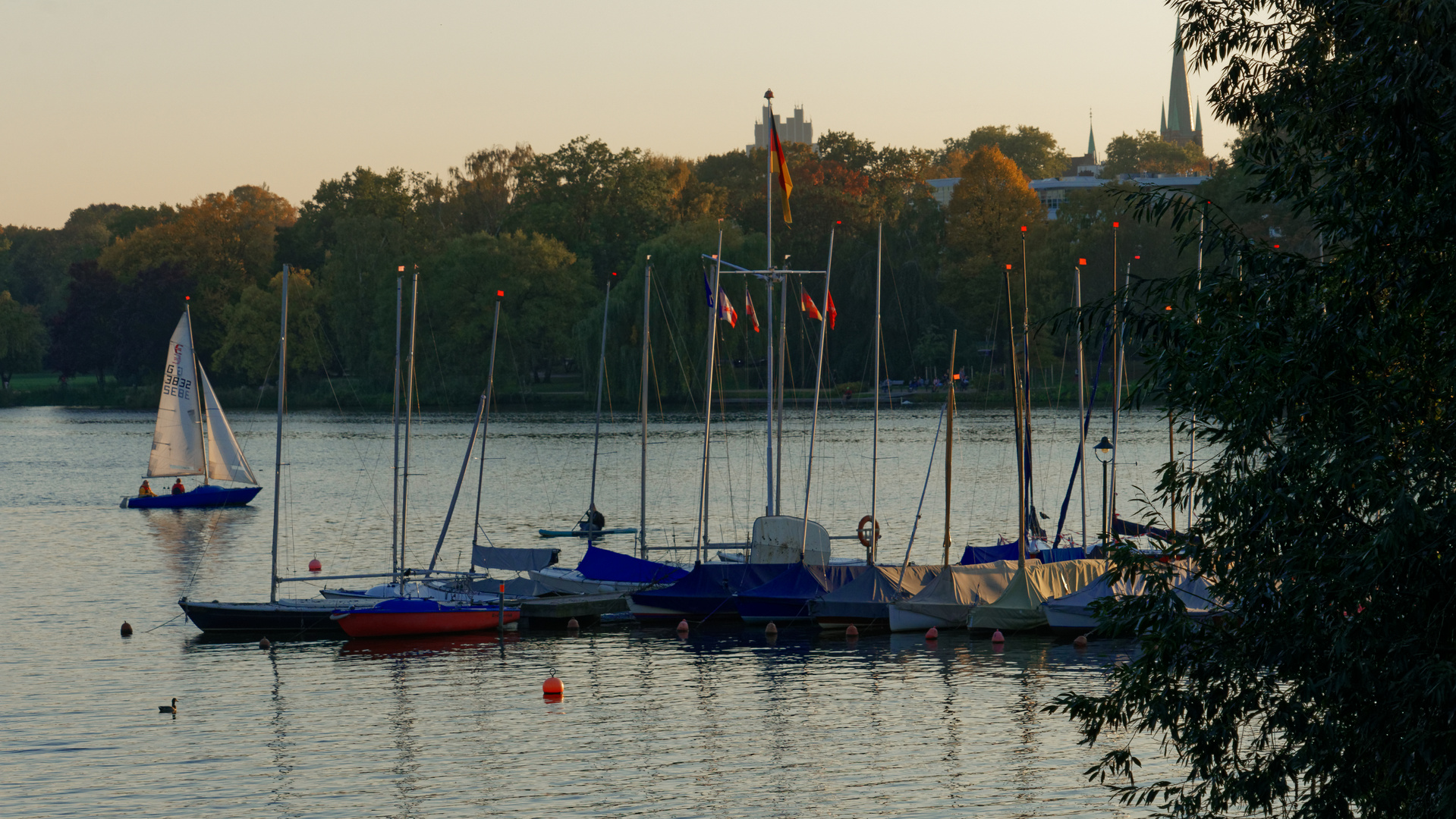 Goldener Oktober V