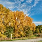 Goldener Oktober von seiner schönsten Seite, war das gestern eine herrliche Rundwanderung...