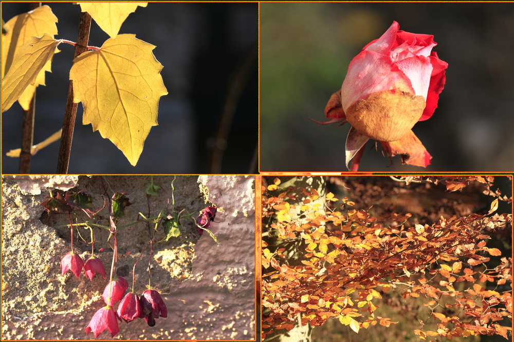 Goldener Oktober war gestern ! ....