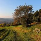 Goldener Oktoberabend