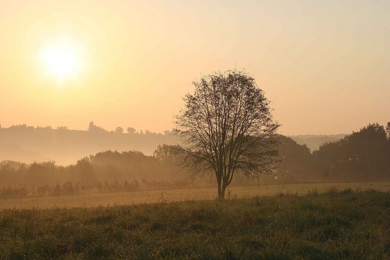 Goldener Oktobermorgen