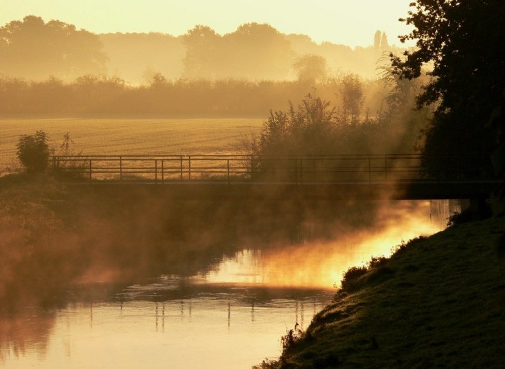 goldener Oktobermorgen....