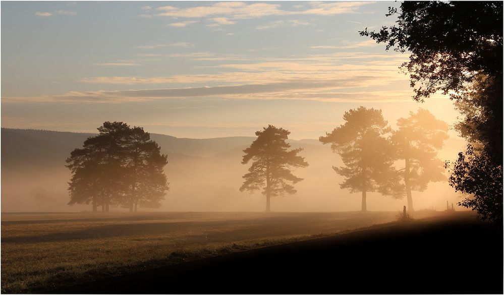 Goldener Oktobermorgen