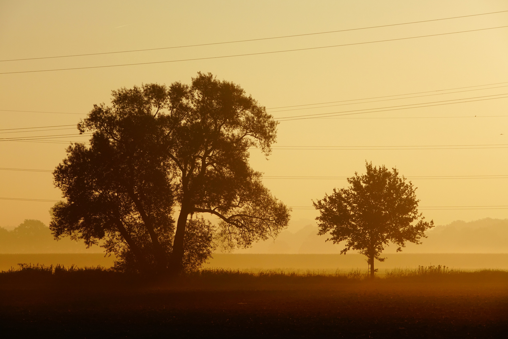 Goldener Oktobermorgen