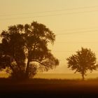 Goldener Oktobermorgen