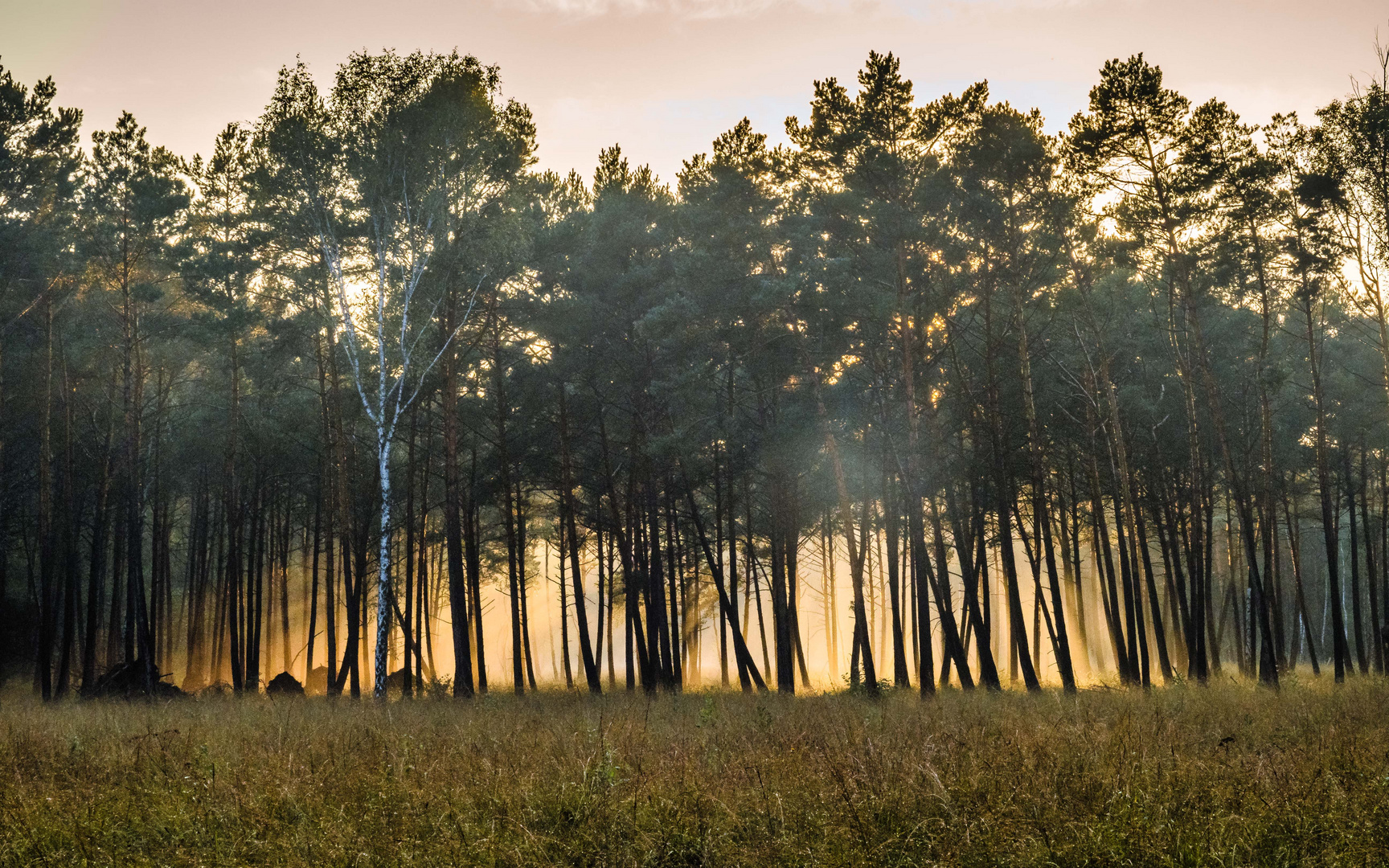 Goldener Oktobernebel