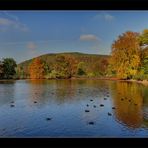 Goldener Oktobertag....