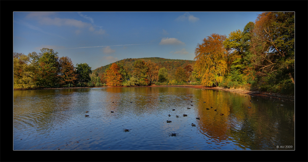 Goldener Oktobertag....