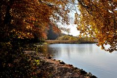 goldener Oktobertag