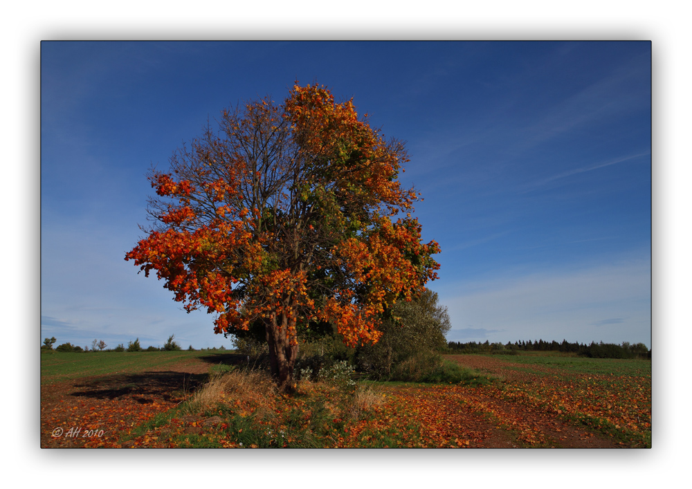 Goldener Oktobertag