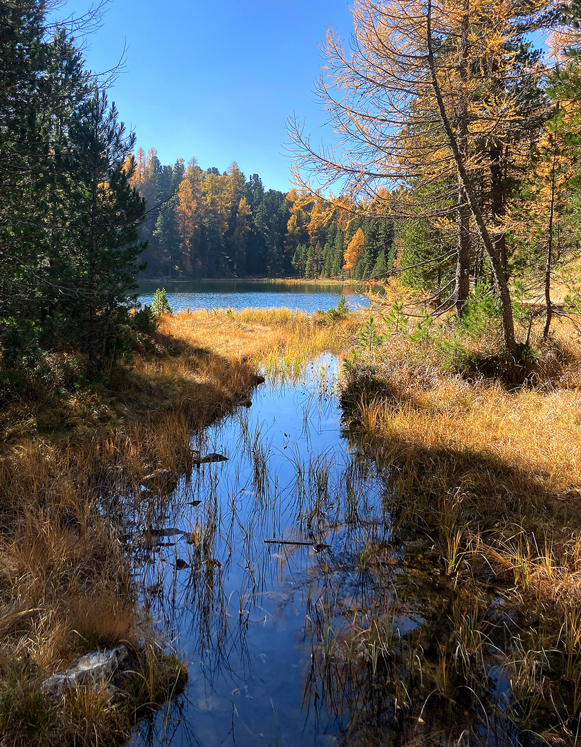 goldener Oktobertag am...