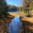 goldener Oktobertag am...