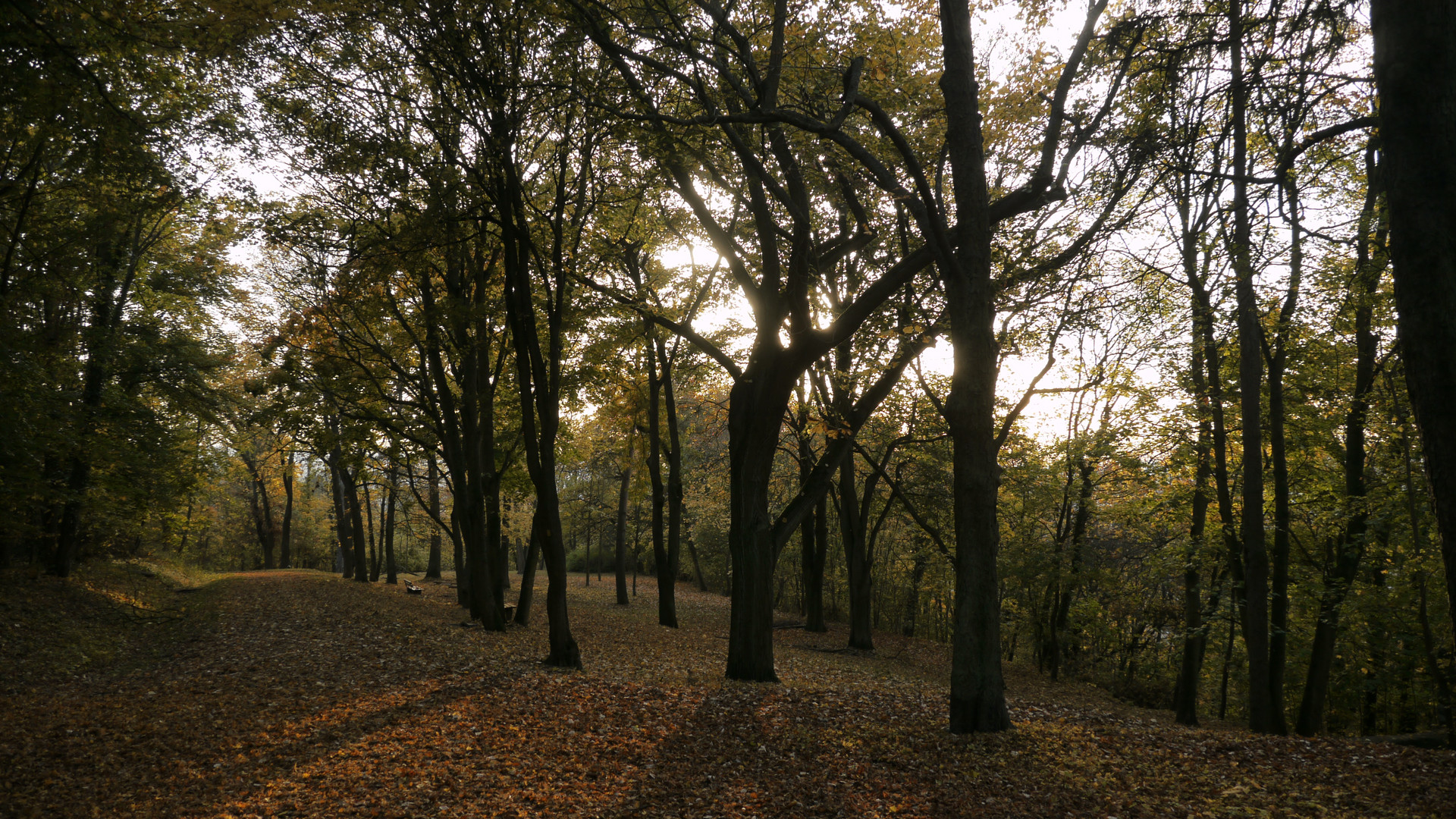 Goldener Oktobertag in einem Park mit phantastischem Domblick