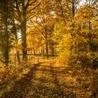 Goldener Otober