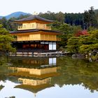 Goldener Pavillon Tempel im Herbst 
