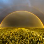 goldener Regenbogen