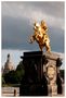 Goldener Reiter Dresden von Tilo Ewald 