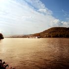 Goldener Rhein