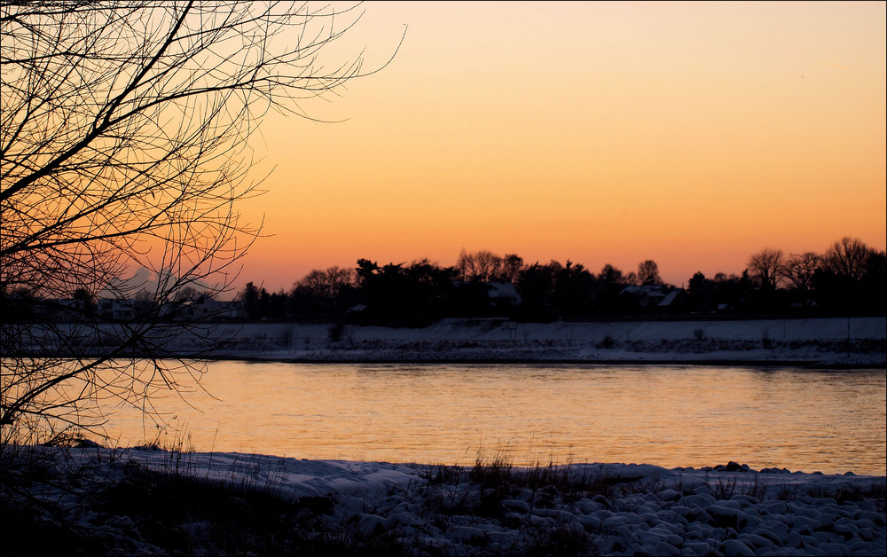 Goldener Rhein...