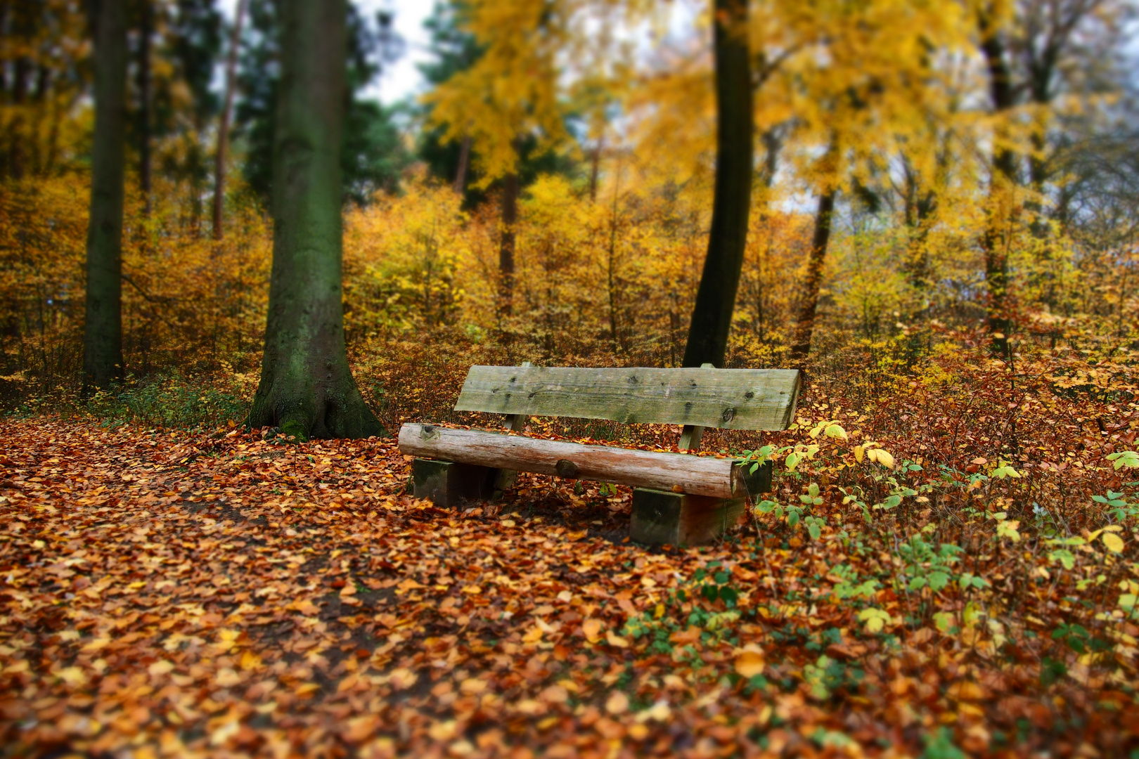 Goldener Ruheplatz