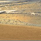 Goldener Sand - Nordsee - Dänemark