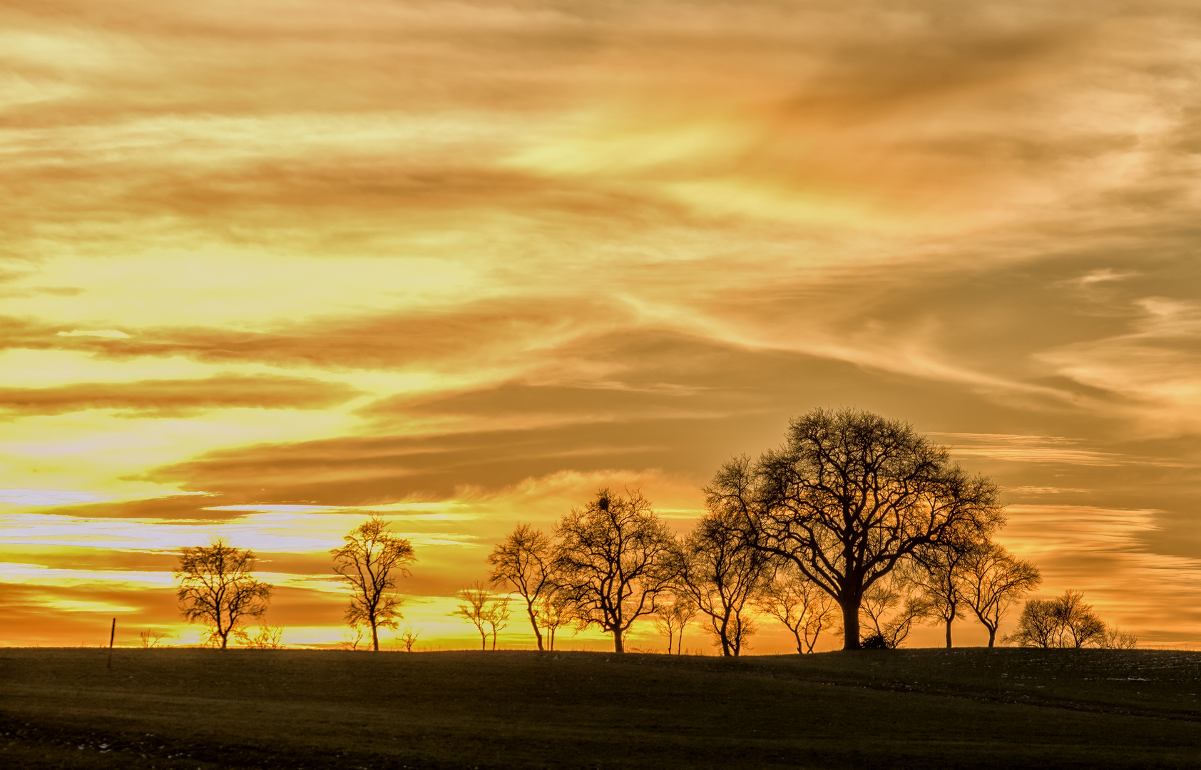 Goldener Scherenschnitt am Abend