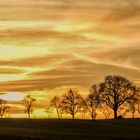 Goldener Scherenschnitt am Abend