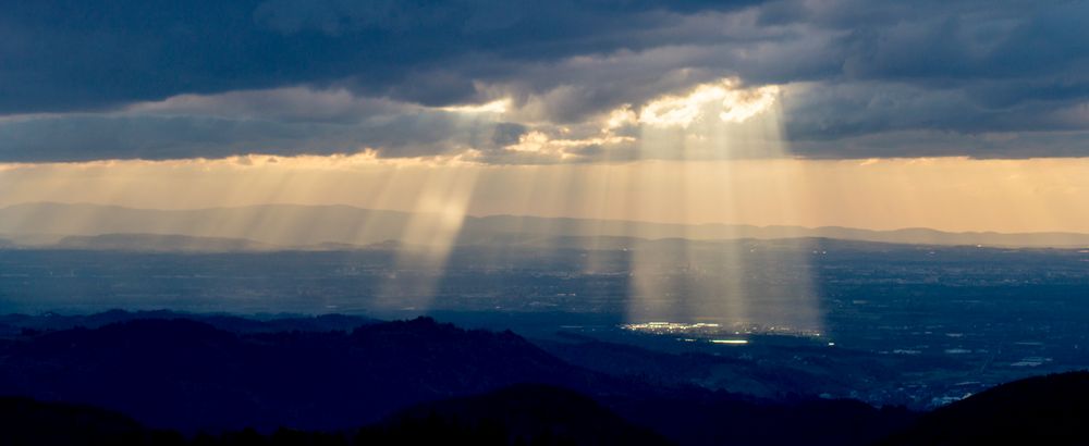 Goldener Schimmer