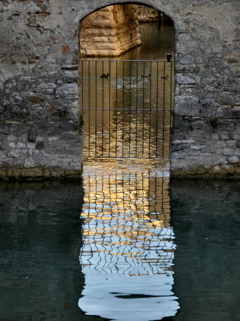 Goldener Schimmer im Burggraben 