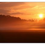 Goldener Schleier