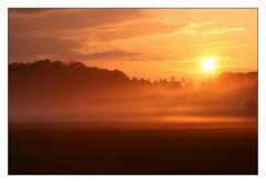 Goldener Schleier