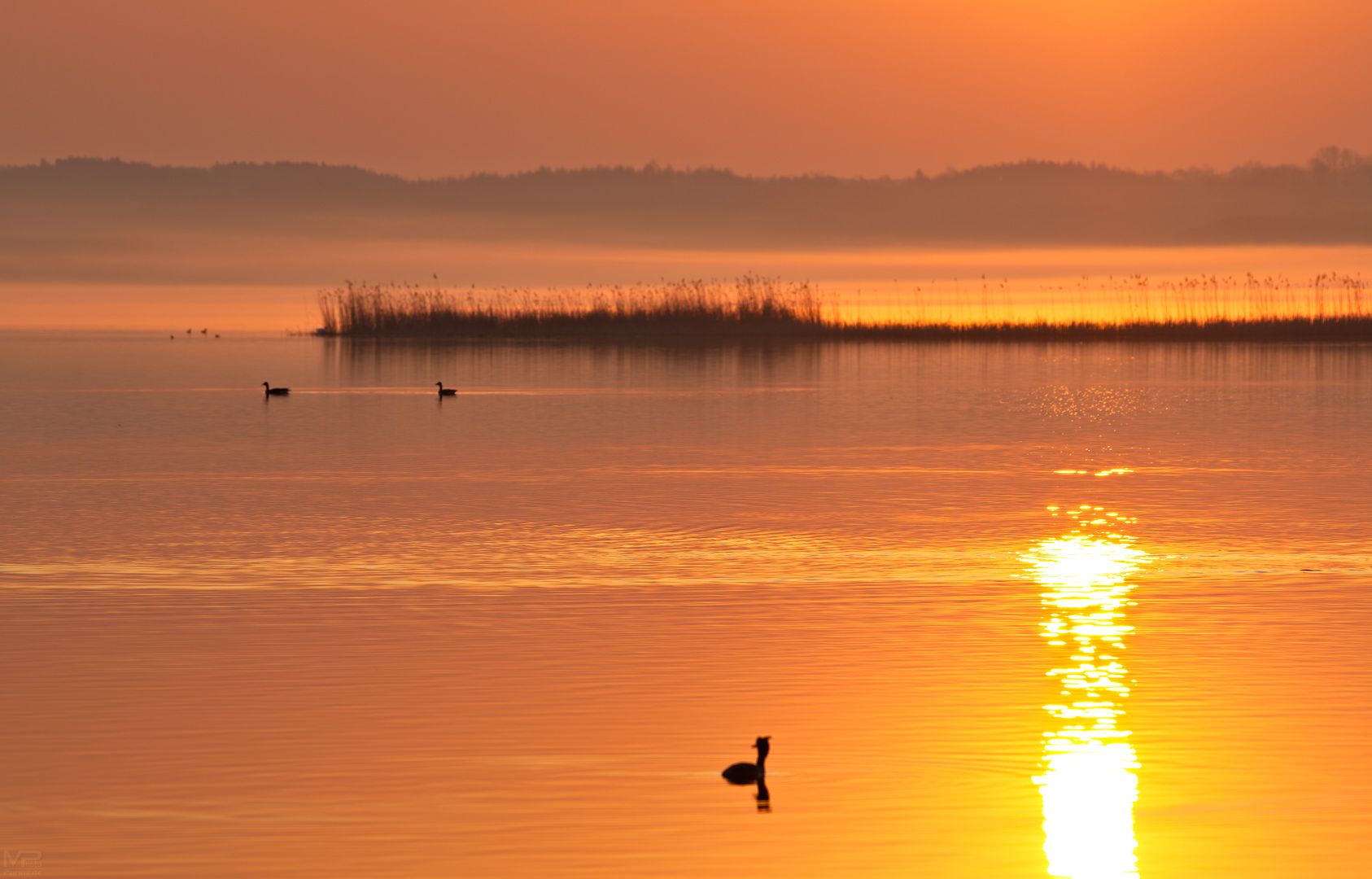 Goldener Schnitt