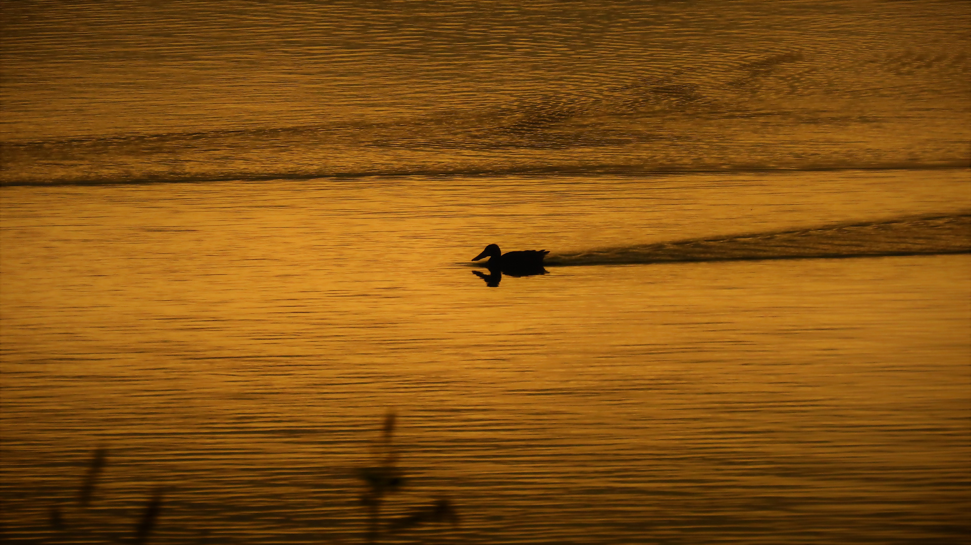 Goldener See