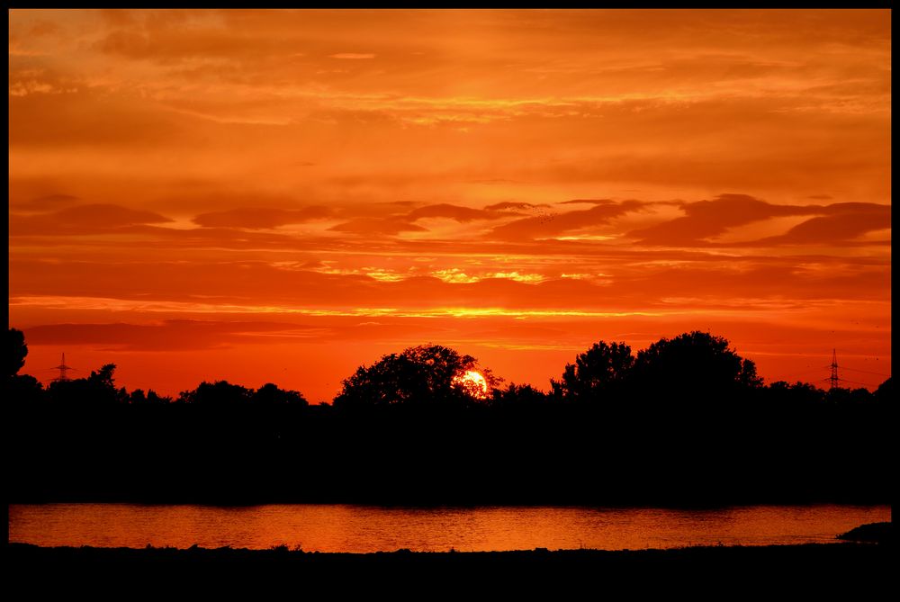 goldener "September"