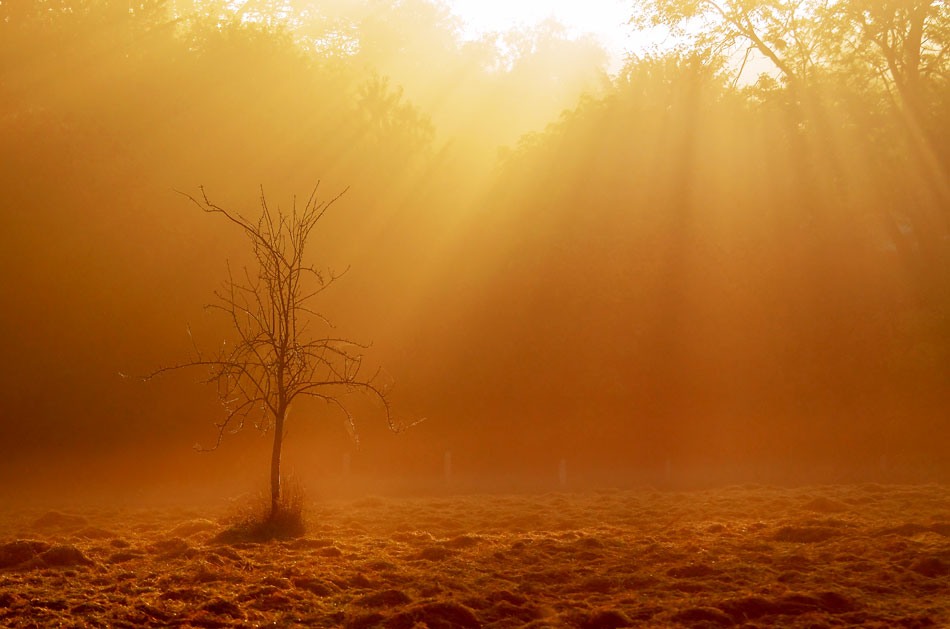 Goldener Septembermorgen