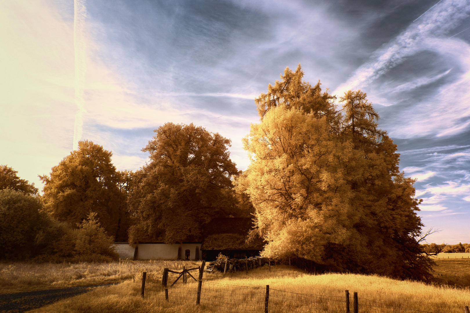 Goldener Sommer