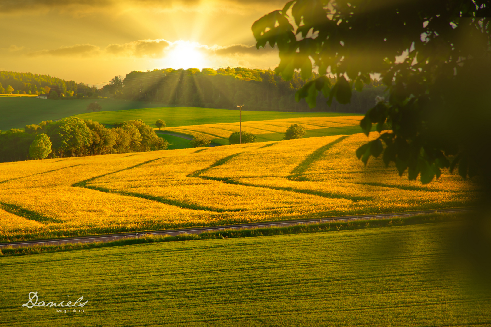 Goldener Sommer