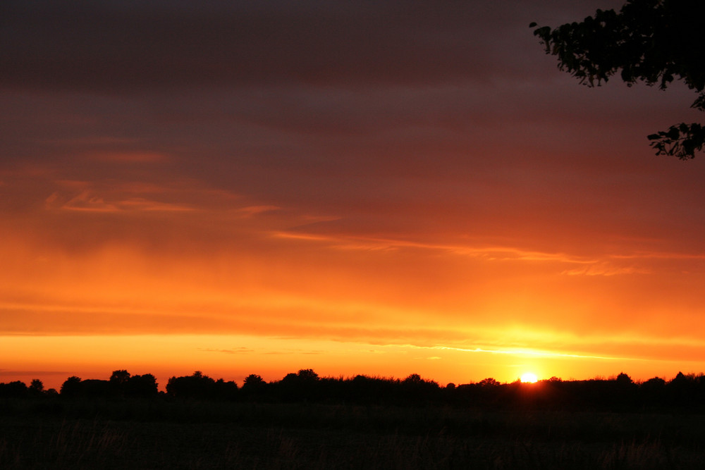 Goldener Sommerabend