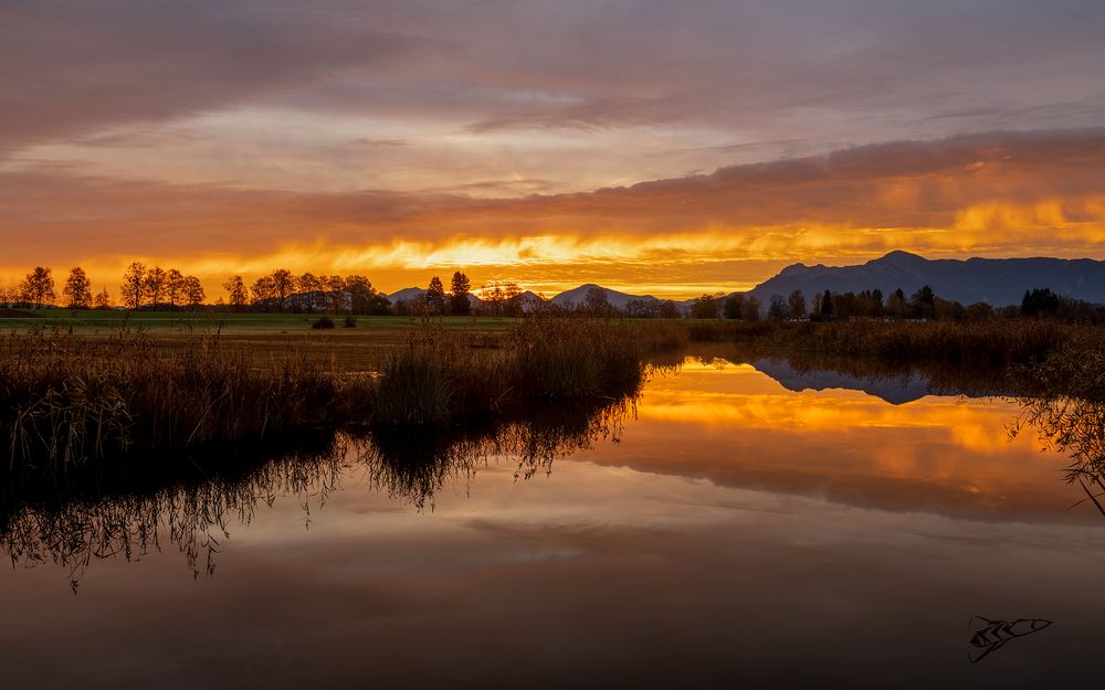 goldener Sonnenaufgang