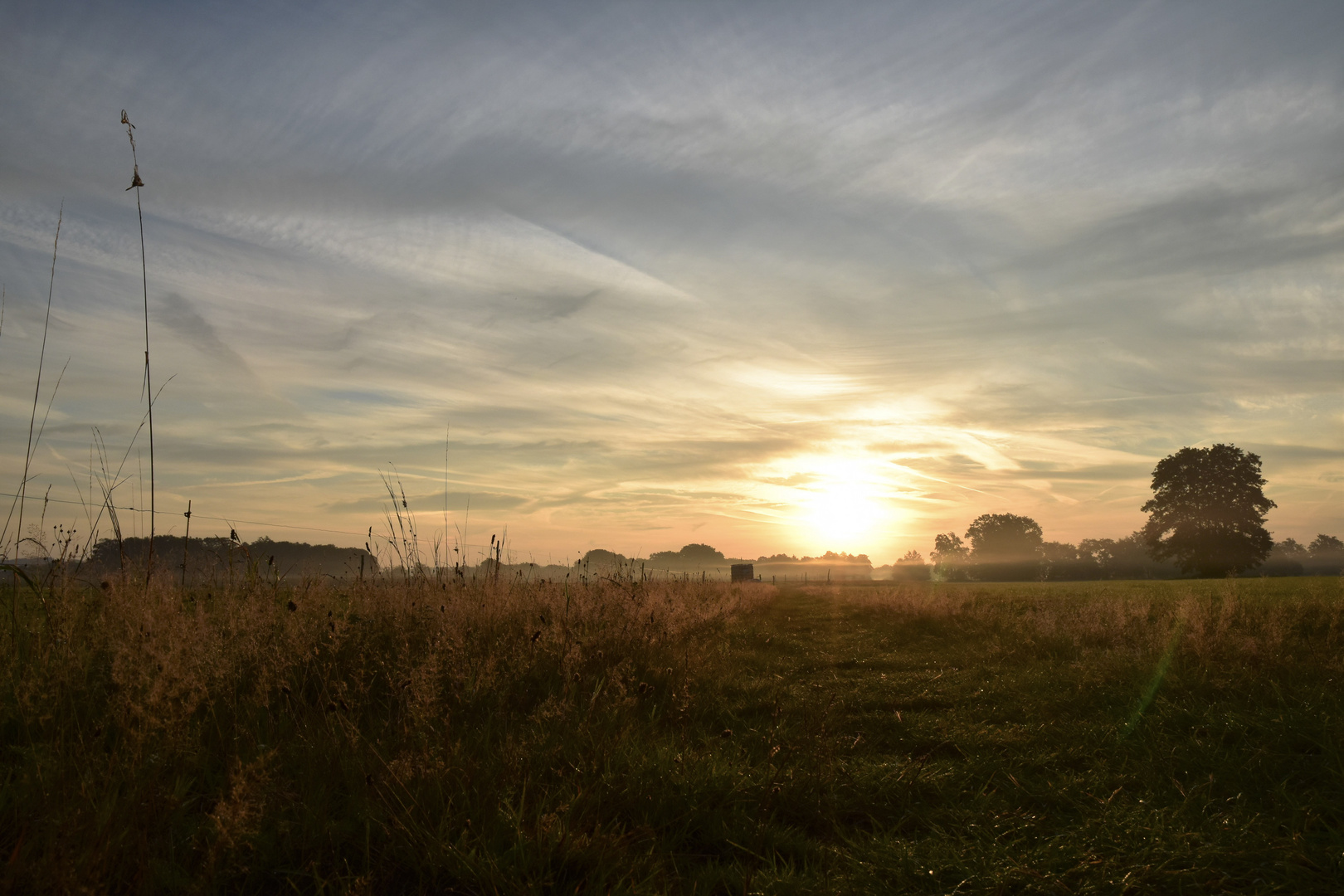 Goldener Sonnenaufgang