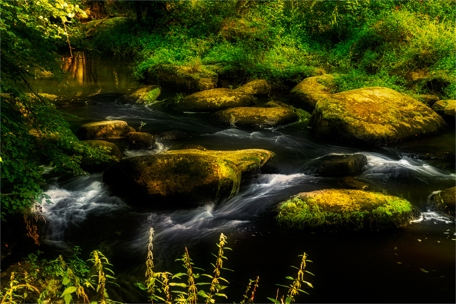 Goldener Sonnenschein über der Waldnaab Foto &amp; Bild | landschaft, bach ...