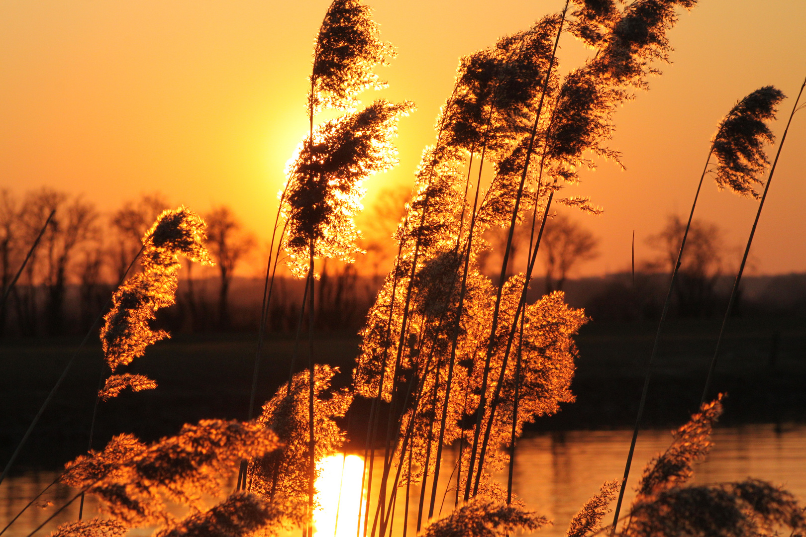 Goldener Sonnenuntergang