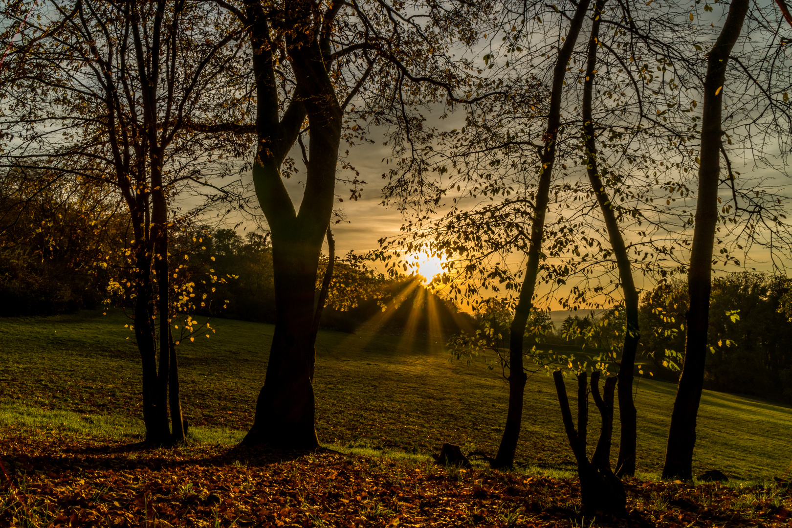 Goldener Sonnenuntergang