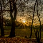 Goldener Sonnenuntergang