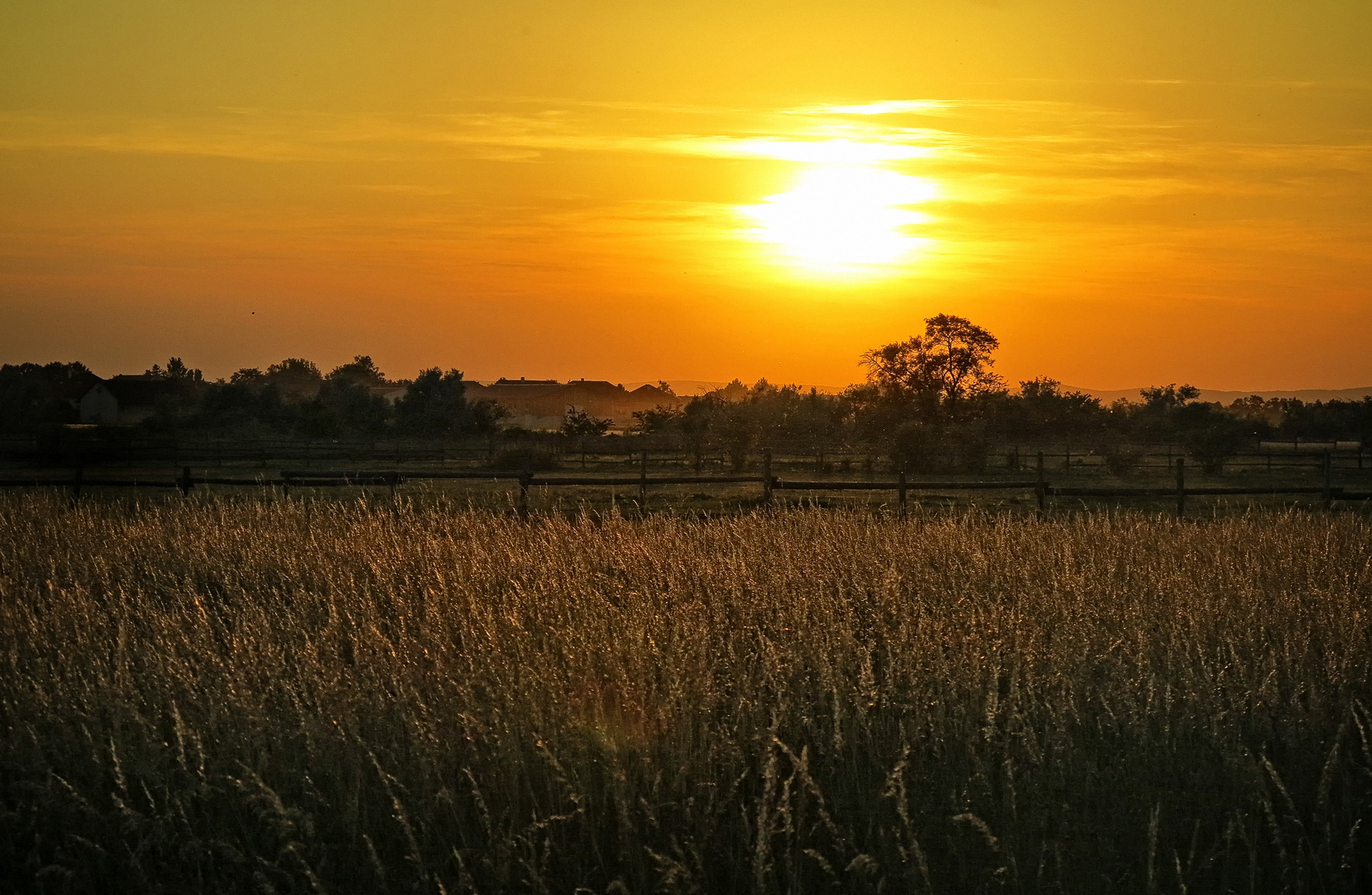 goldener Sonnenuntergang